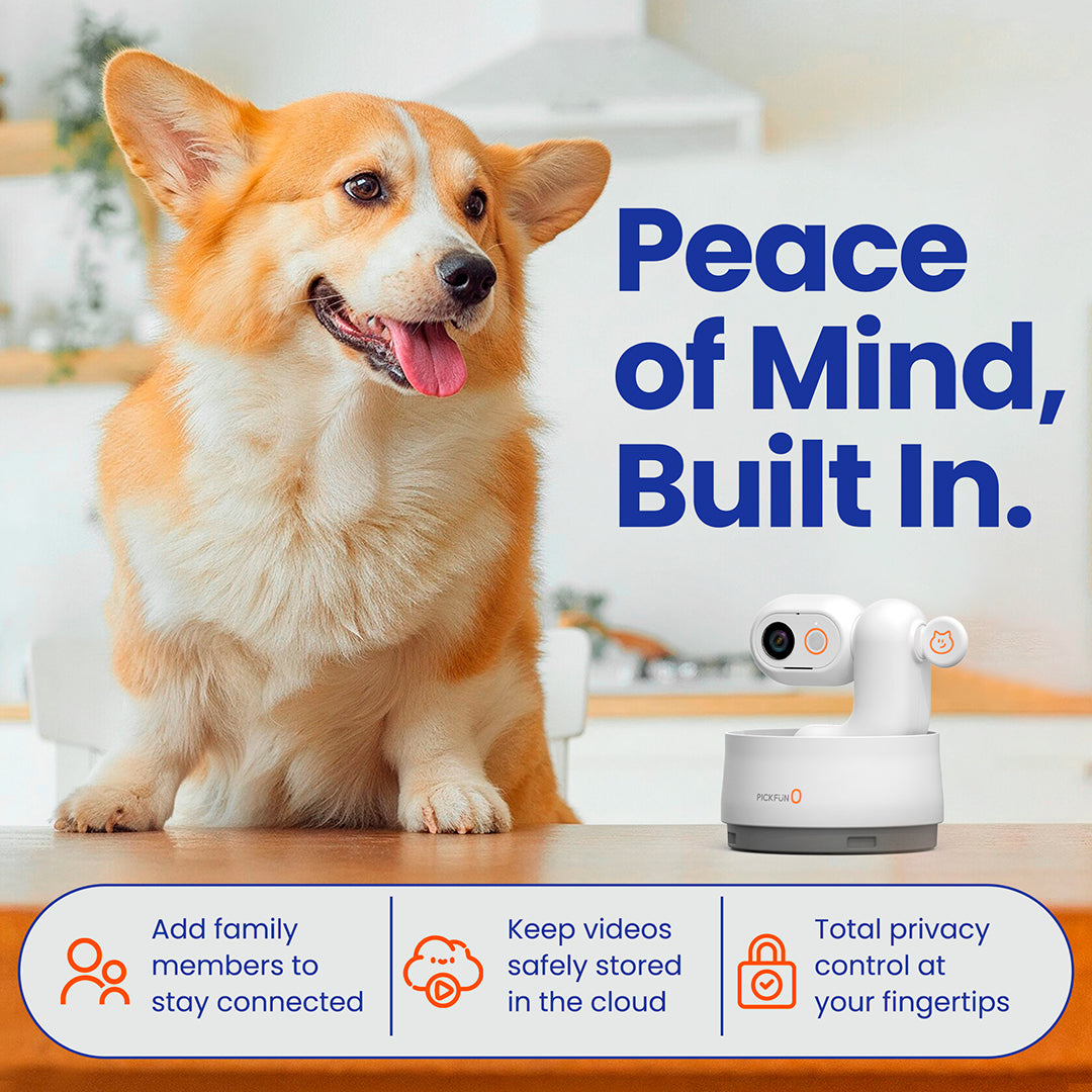 PickFun Pet Camera